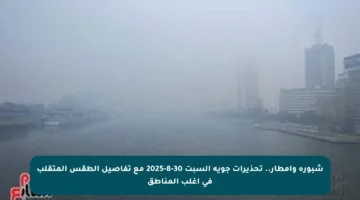 شبورة وأمطار.. تحذيرات جوية السبت 30-8-2025 مع تفاصيل الطقس المتقلب في أغلب المناطق